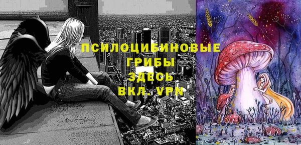 mdma Каменка