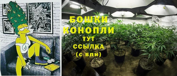 mdma Каменка