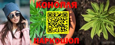 гидра Берёзовский