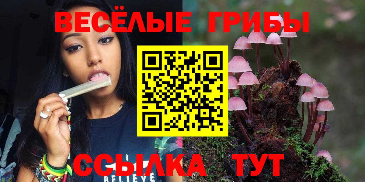Галлюциногенные грибы прущие грибы  Вход с VPN  Железногорск 